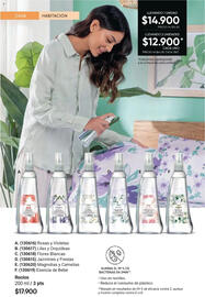 Catálogo Avon Página 41