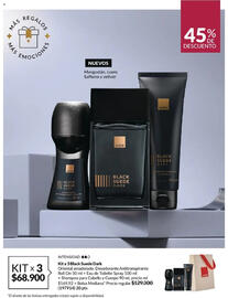 Catálogo Avon Página 166