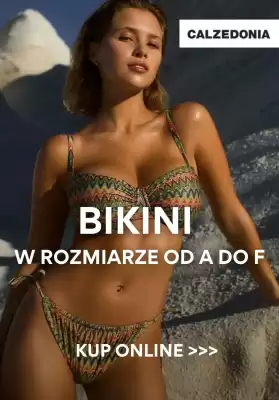 Calzedonia gazetka