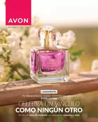 Catálogo Avon (válido hasta 2-06)
