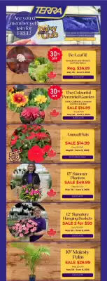 Terra Green Houses flyer (valid until 3-06)