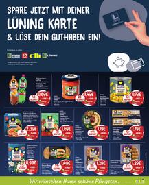 Elli Markt Prospekt woche 23 Seite 11