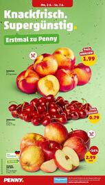 PENNY Prospekt woche 23 Seite 2