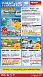 PENNY Prospekt woche 23 Seite 41