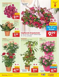Netto Marken-Discount Prospekt woche 23 Seite 7