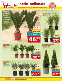 Netto Marken-Discount Prospekt woche 23 Seite 8
