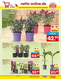 Netto Marken-Discount Prospekt woche 23 Seite 9