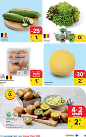 Carrefour folder Pagina 13