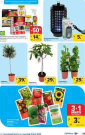 Carrefour folder Pagina 33