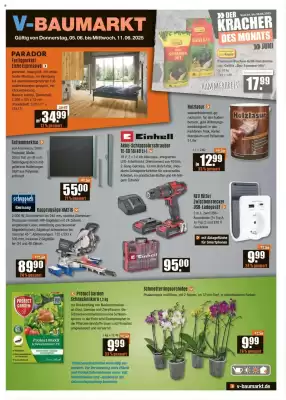 V Baumarkt Prospekt (gültig bis 11-06)