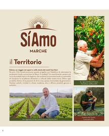 Volantino Conad City settimana 22 Pagina 4