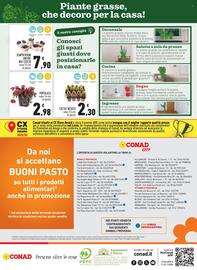 Volantino Conad City Pagina 20