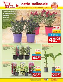 Netto Marken-Discount DE folder week 23 Pagina 9