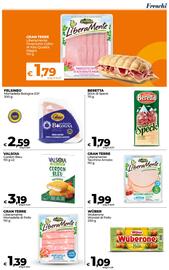 Volantino Ipercoop Radenza Pagina 17