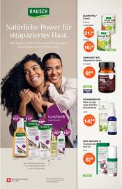 Prokopp Flugblatt Seite 6