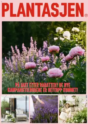Plantasjen Kundeavis (gyldig til 19-06)