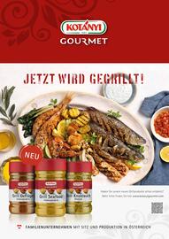 Eurogast Grissemann Flugblatt Seite 11