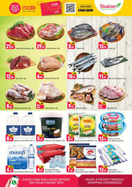 Shaklan catalogue Page 3