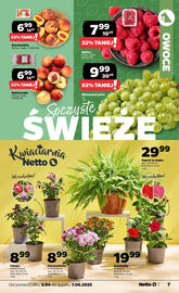 Netto gazetka tydzień 23 Strona 7