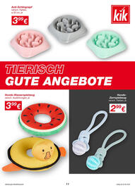 KiK Flugblatt Seite 11