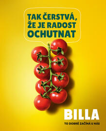 Billa leták Strana 9