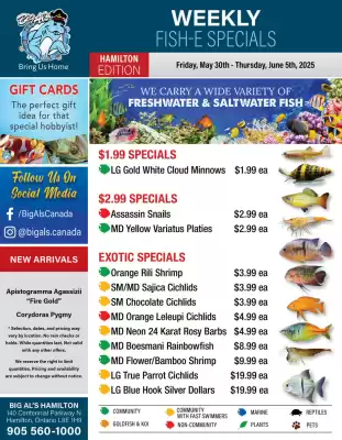 Big Al&#x27;s Pets flyer (valid until 5-06)