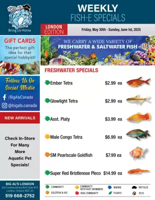 Big Al&#x27;s Pets flyer (valid until 5-06)