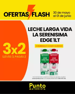 Catálogo Punto Mayorista (válido hasta 1-06)
