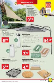 Lidl Flugblatt woche 23 Seite 32