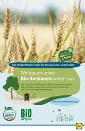 Lidl Flugblatt woche 23 Seite 46