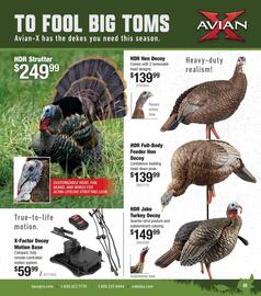 Cabela's Weekly Ad week 22 Page 41