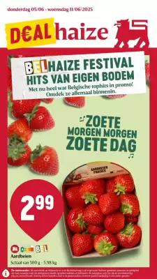 Delhaize folder
