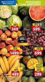Lidl akciós újság hét 23 Oldal 10