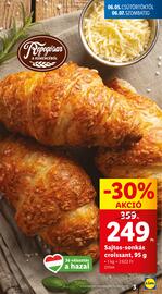 Lidl akciós újság hét 23 Oldal 3