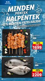 Lidl akciós újság hét 23 Oldal 42