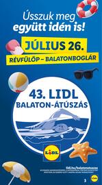Lidl akciós újság hét 23 Oldal 3