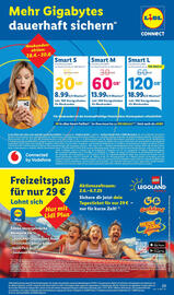 Lidl Prospekt Seite 39