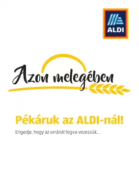 ALDI akciós újság (érvényes eddig: 4-07)