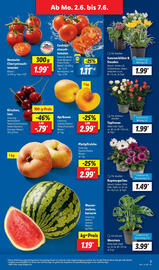 Lidl Prospekt Seite 7