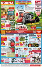 Norma Prospekt woche 24 Seite 1