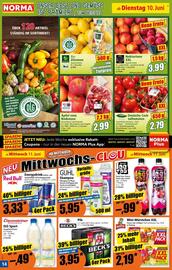 Norma Prospekt woche 24 Seite 15