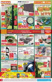 Norma Prospekt woche 24 Seite 17