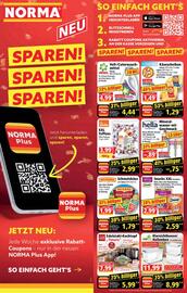 Norma Prospekt woche 24 Seite 2