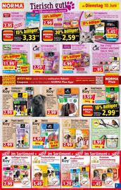 Norma Prospekt woche 24 Seite 8