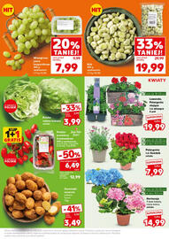 Kaufland gazetka tydzień 23 Strona 9