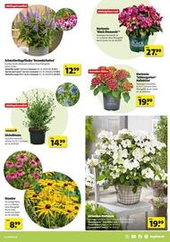 Hagebau Prospekt woche 22 Seite 7