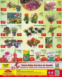 Zimmermann Prospekt woche 23 Seite 12