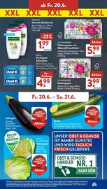 Aldi Süd Prospekt woche 25 Seite 17