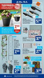 Aldi Süd Prospekt woche 25 Seite 6