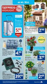 Aldi Süd Prospekt woche 25 Seite 9
